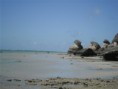 /album/galerie-de-photos-les-plage-de-petite-terre/plages-petite-terre-007-jpg/